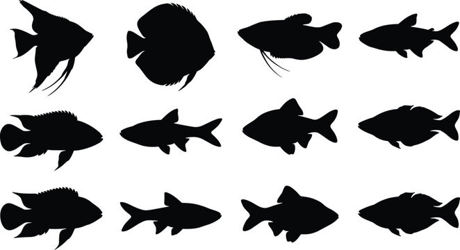 Freshwater and Tropical Fish Silhouette Collection Set with Various Aquatic Species Isolated
