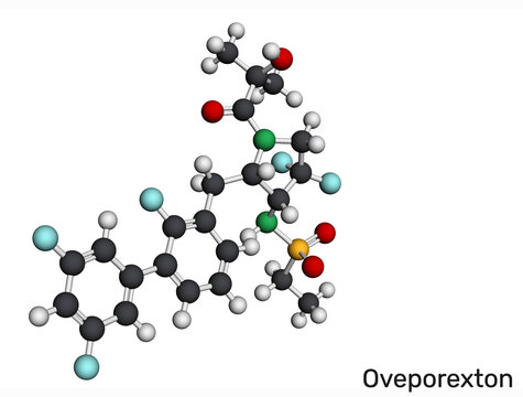 Oveporexton molecule, orexin receptor agonist and wakefulness-promoting agent. For the treatment of narcolepsy types 1 and 2, and idiopathic hypersomnia. Molecular model. 3D rendering