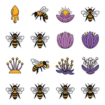Collection of bees and flowers.