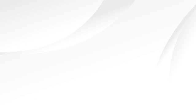 abstract white background with curve and blank space