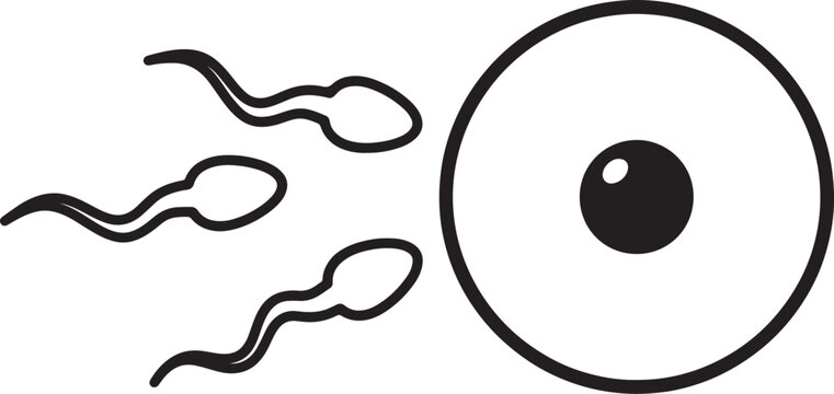 Black and white line of three sperm cells swimming toward a large egg cell, minimalist depicting the biological process of fertilization also transparent background