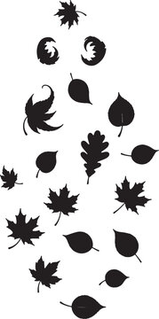 Vertical arrangement of assorted fall leaves silhouettes with vertical