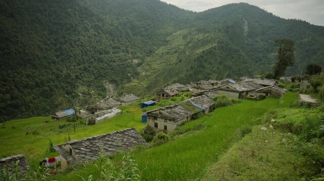 Slate rooftops overlooking green paddy basin, Rural Village, Farwest Himalaya Nepal