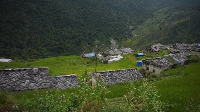 Slate rooftops overlooking green paddy basin, Rural Village, Farwest Himalaya Nepal