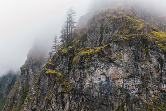 Misty Rocky Cliff With Evergreen Trees on Coastal Mountain in British Columbia, Canada