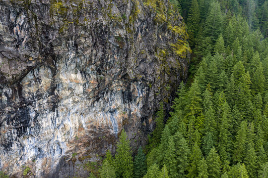 Rugged Rock Cliff and Dense Evergreen Forest on a British Columbia Mountainside, Canada