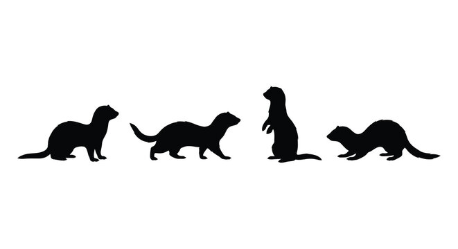 Four Ferret Silhouettes In Various Poses Black And White Silhouette ferrets mustelid