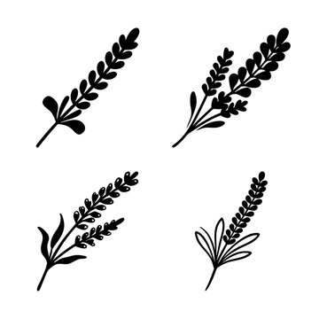 Four black wheat and herb sprigs illustration - Minimalist vector illustration of four different wheat and herb sprigs in black, ready for use in designs or documents.