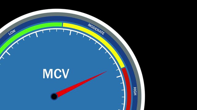 Medical mcv gauge animation showing mean corpuscular volume test results rising from low to levels for clinical laboratory diagnostics, hematology research, and healthcare patient health monitoring