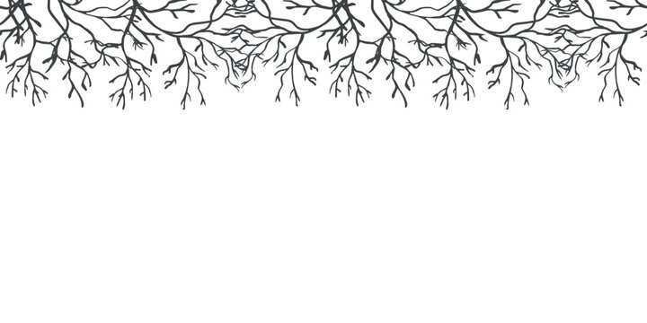 Halloween seamless border with curved branches. Hand drawn vector illustration in a graphic style. Black ink clip art for cards and invitations and gothic banners for sales.