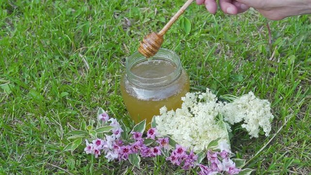 Dipping wooden honey dipper in honey, Hand dipping wooden honey dipper spoon-spindle into a glass jar of sweet honey