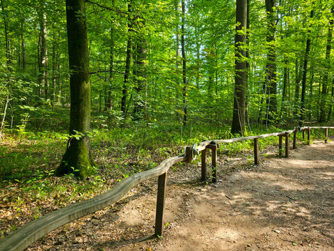 germany, beautifully crafted wooden marble run blending naturally into lush summer forest inspiring imagination and outdoor discovery near wendlingen