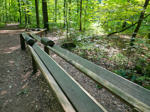 germany, unique wooden marble run surrounded by flourishing summer woodland offering unforgettable forest adventure in peaceful wendlingen natural landscape