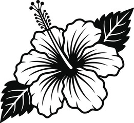 Hibiscus flower vector silhouette isolated on white background. Tropical black line art floral graphic element for wedding card or logo design. © MDROBIUL