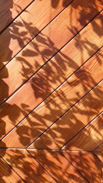 Sunlight and Leaf Shadows on Natural Wooden Surface, Abstract Wood Texture Background with Botanical Silhouettes and Warm Summer Light