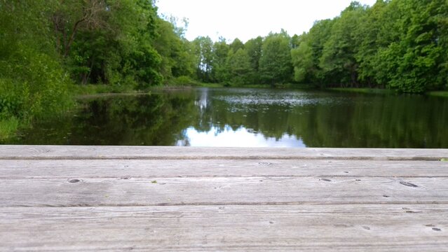 Wooden Table Countertop with Blurred Lake Background in Green Forest