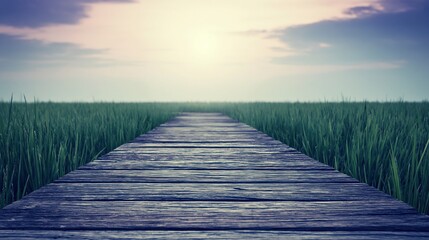 Obraz premium Wooden boardwalk leads into a vast green field under a soft, hazy sunrise sky