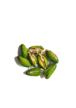 Group of germinated green paterna seeds of Inga jinicuil showing white sprouts for traditional dish from Guatemala
