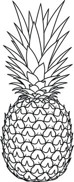 Pineapple silhouette line art illustration tropical fruit design