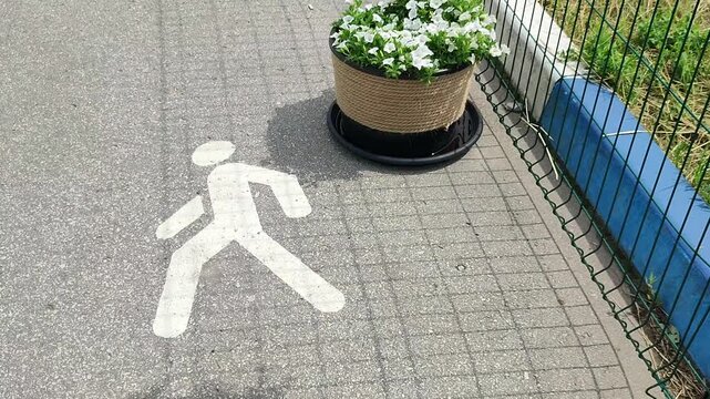 Pedestrian crossing sign painted on pavement next to white flower pot with rope texture. Urban sidewalk with road floor marking and green grass near blue fence.