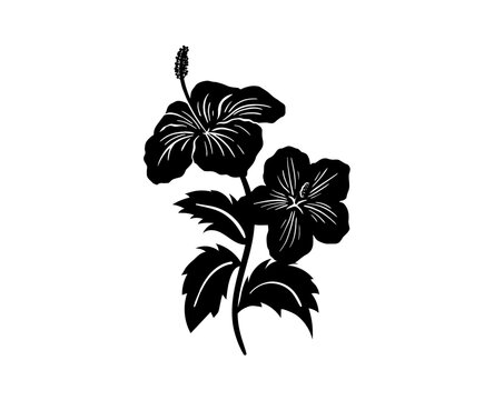 Silhouette tropical black hibiscus vector flowers set. Floral monochrome illustration decal, decor, clipart, poster, sticker, template. Tea hibiscus.