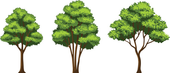 Three stylized green trees with brown trunks and lush foliage on a white background untitled © MdMominur