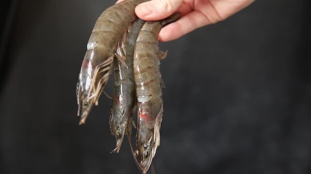 Raw prawns crustacean large shrimp (gambas) fresh seafood pescetarian diet food preparation tasty snack fresh and delicious gourmet food background on the table rustic food top view copy space keto an