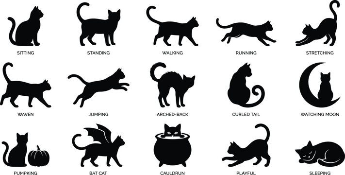 Black cat silhouette postures and actions