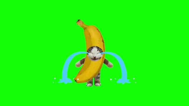 Banana costume worn by a small tabby kitten creates a humorous scene where the cat appears to be weeping with large blue cartoon teardrops against a green background.