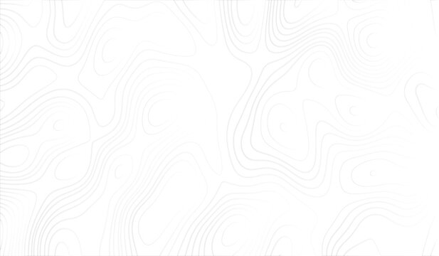 Topographic map, abstract gray line on white background art and illustration.