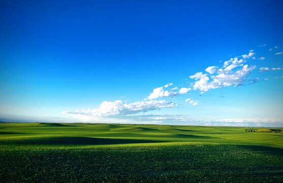 Vibrant green fields cloak Montana hillsides