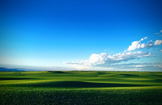 An emerald green field carpets rolling Montana hills