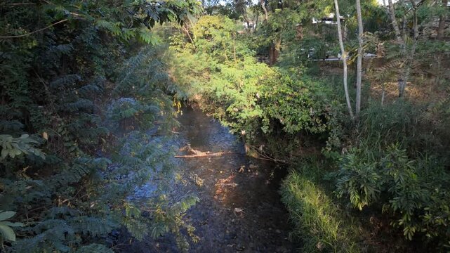 Peaceful static view of a narrow forest stream at Rio das Almas