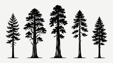 Collection of diverse coniferous tree silhouettes © Akun