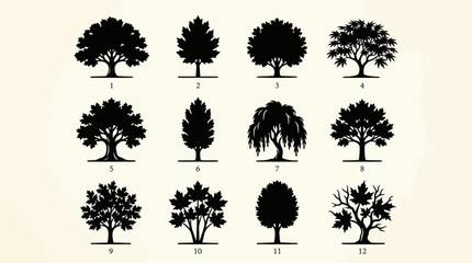 Collection of diverse tree silhouettes © Akun