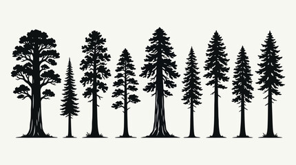 Collection of coniferous tree silhouettes © Agustasptrr