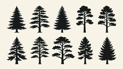 Obraz premium Collection of evergreen tree silhouettes