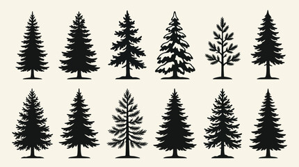 Fototapeta premium Collection of evergreen tree silhouettes