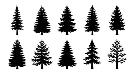 Fototapeta premium Collection of evergreen tree silhouettes