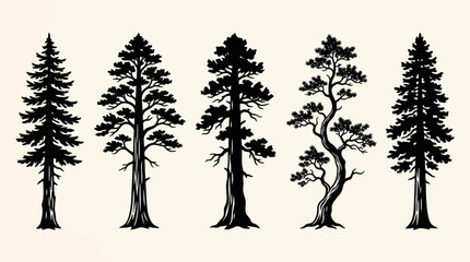Collection of evergreen trees silhouettes © angelina