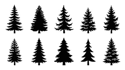 Obraz premium Collection of evergreen tree silhouettes
