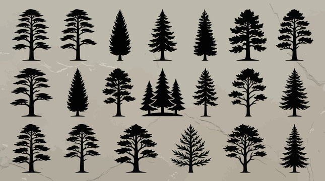 Collection of pine tree silhouettes