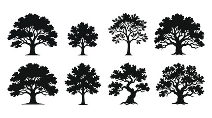 Fototapeta premium Collection of silhouetted trees