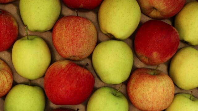 Top down shot of sunrise light hitting basket of fresh apples