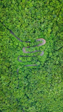 Vertical aerial of a twisting mountain road surrounded by rainforest