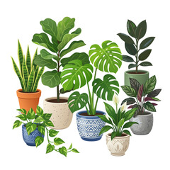 Fototapeta premium A beautiful composition of various popular green indoor plants in colorful ceramic pots. Features monstera, fiddle leaf fig, rubber plant, snake plant, pothos, peace lily, and calathea arranged togeth