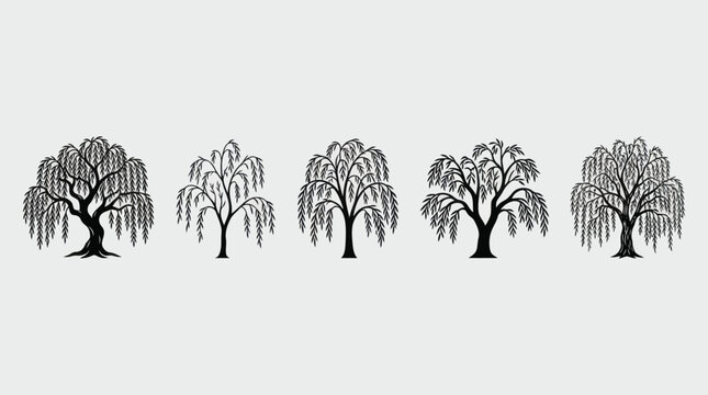 Collection of weeping willow trees