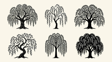 Decorative weeping willow tree illustrations © Cracker