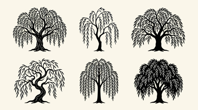 Decorative weeping willow tree illustrations