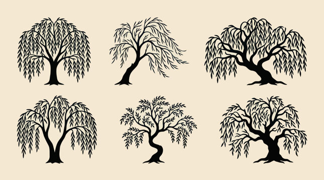 Decorative weeping willow tree illustrations